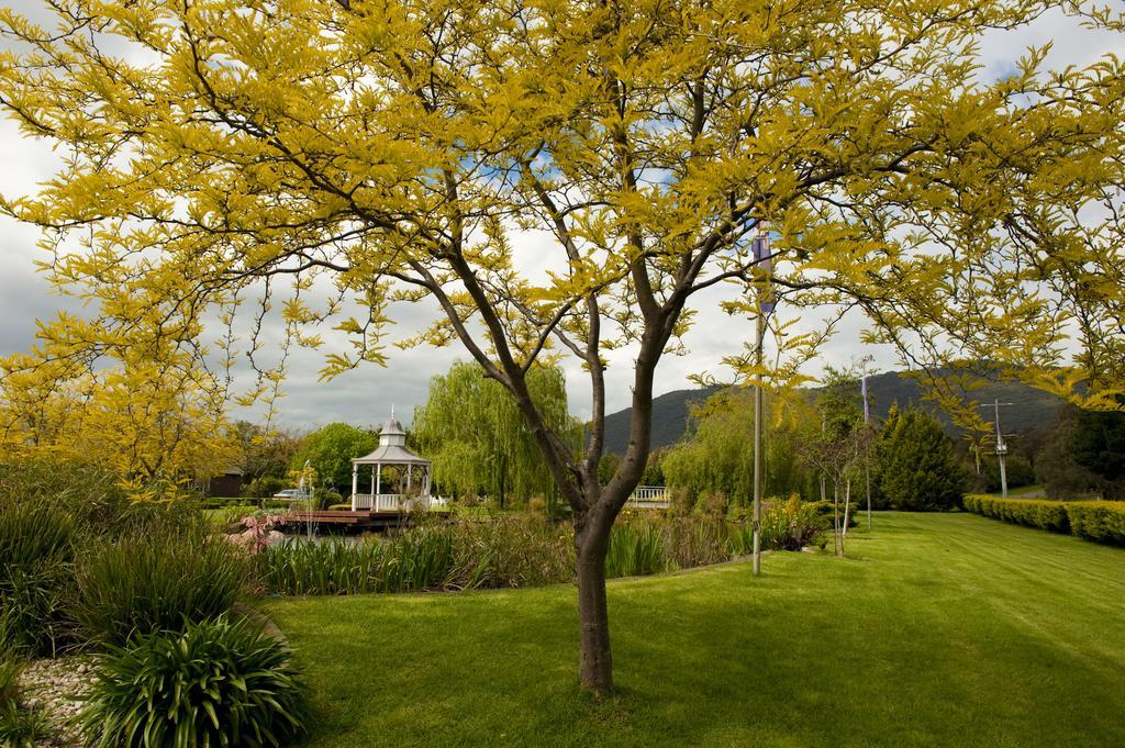 Lakeside Cottage Luxury B&B Mount Dandenong Esterno foto